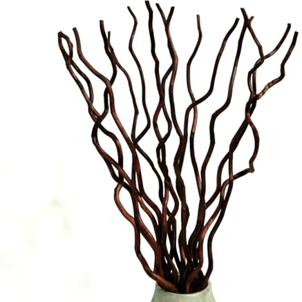KKTHDM Branche de saule bouclée naturelle séchée, 15 tiges de bâtons décoratifs blancs de 55,9 cm, petites gourdes véritables 3 pièces pour la décoration de la maison (rougeâtre)