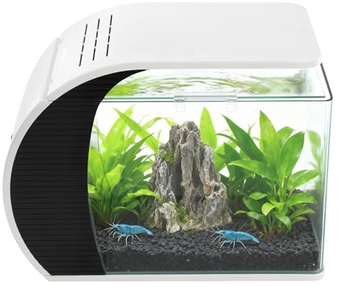 Mini aquarium complet 19 l 200 l/h Nano aquarium en verre avec pompe à eau, éclairage LED et système de filtration intégré, 42,3 x 22,6 x 31,5 cm pour la maison et le bureau