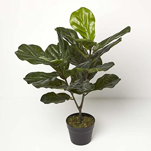 HOMESCAPES Artificial Fiddle Leaf Tree 75 cm Tall with Wood Effect Trunk Faux Ficus Fig Tree in Black Pot for Indoor Decoration