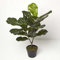 HOMESCAPES Artificial Fiddle Leaf Tree 75 cm Tall with Wood Effect Trunk Faux Ficus Fig Tree in Black Pot for Indoor Decoration