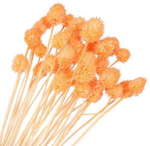 PATIKIL 16 Inch Dried Flowers for Vase, 30 Pcs Mini Pine Ball Flowers Natural Bouquet Bulk Fall Dried Pine Ball Naturally for Home Wedding Bridal Decor Party, Orange(Stem)
