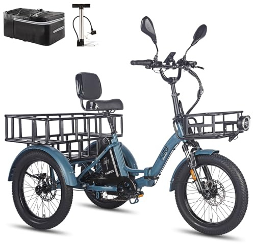 Fafrees F20 Mate E Bike Dreirad für Erwachsene 48V Zulassung [ Offiziell ] Herren E Bike Damen, Elektrofahrrad 3 Rädern 65N.m, Elektro Dreirad 20 Zoll, Ebike Lastenfahrrad IPX5, Fahrrad Fatbike 180kg