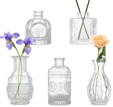 5 PCS Small Glass Bud Vases Set, Small Vase for Flowers, Mini Vases for Flowers | Rustic Wedding Table Decoration & Home Decor | Handmade Centerpieces for Party Reception Coffee Table丨Vintage Vase