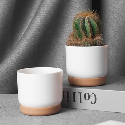 Vaso da fiori automatico con sottovaso, per piantare interni, ecologico e decorativo