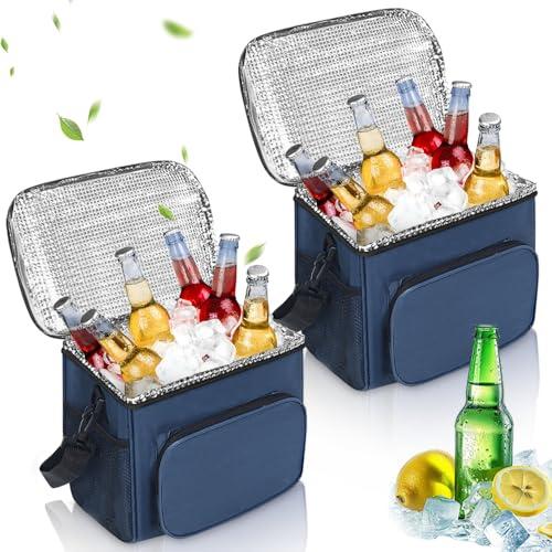 HIQE-FL Kühltasche Faltbar,10L Picknicktasche Kühltasche,Thermotasche Klein,Isoliertasche Lunch,Kühltasche Eistasche,Lunch Tasche,Kühlbox für Picknick (Blau)