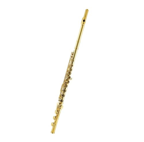 Querflöte Gold 17-Loch Französisch Curved Keys + E Key Split Flöte C Tune Für Anfänger Professionelle Prüfung
