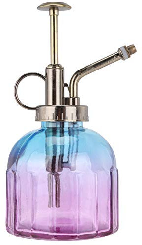 Arrosoir d'intérieur, Arrosoir en verre, bouilloire, brumisateur for bonsaï, mini-plantes, arrosoir, pompe, brumisateur for plantes, récipients en verre, vaporisateur for plantes vintage, terrarium