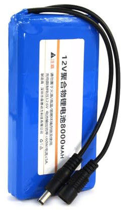 SDAJS Batterie étanche 12 V 8 000 mAh Batterie au Lithium polymère Batterie Li-ION Rechargeable 12 Volts avec Port CC pour appareils électriques 12 V Batterie de Secours Portable