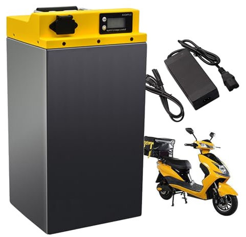 FREEDOH Batería de Motocicleta de 48 V, batería LiFePO4 de 60 V, batería de Litio de 72 V, batería de Repuesto de 20 Ah, 30 Ah y 40 Ah con Cargador para Motor de 0 a 3000 W.,48v20ah