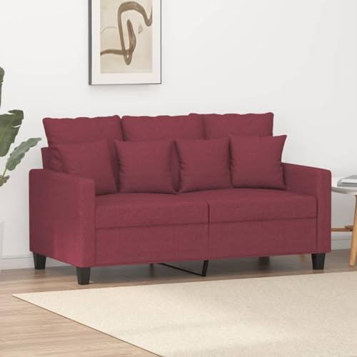 HETFTJN Zweisitzer-Sofa Weinrot 138x77x80 cm Stoff & Metallgestell Modernes Design Robust und Bequem für Wohnzimmer, Jugendzimmer und Büro