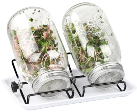 Sprouting burksats – Frögroddglas, hydroponisk odlingshållare set | Fröspridningssats – glasburkhållare för hemmet odling | Nätlock med saltfritt grobarhetssystem, 8,8 x 15,5 cm