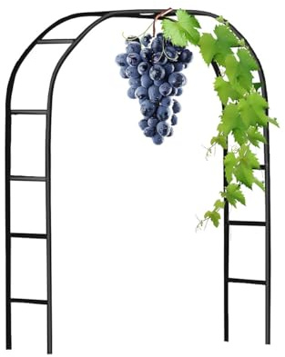 Treillis de Arche de Jardin en Acier, Arceau Tonnelles Décoration de Mariage Tuteur pour Plantes Grimpantes et D'extérieur W 120cm 140cm 180cm 200cm 240cm 280cm 350cm(Black,W2.40 x H2.20m)