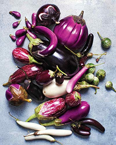Colourful Aubergine 30 Seeds,Eggplant Mixed Colours&Sizes,Many Varieties in 1 Packet! Organic