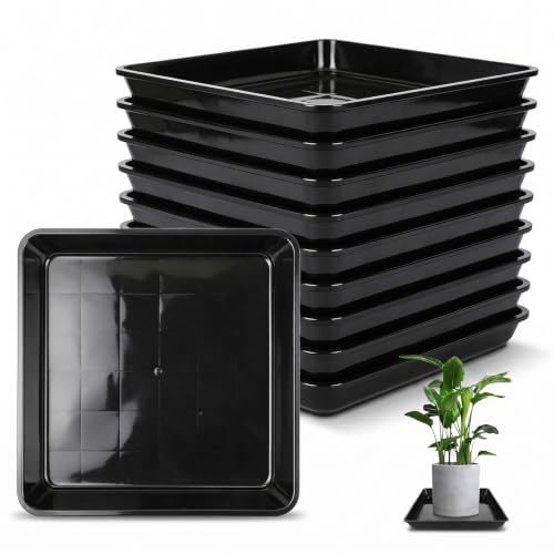 CVASNF 10 Stück Untersetzer Blumentopf Eckig, 25x25cm Pflanzen Untersetzer Aus Kunststoff Quadratische Pflanzenuntersetzer für Outdoor Indoor Pflanzkübe Robust und Langlebig Schwarz