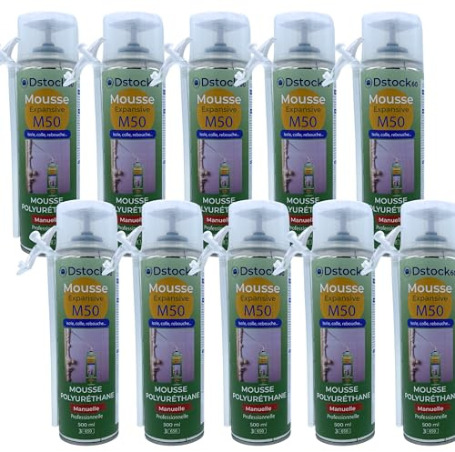 DSTOCK60 – 10 Stück Bauschaum/ Montageschaum 500 ml – Professioneller Schaumstoff aus Polypropylen – für den Innen- und Außenbereich