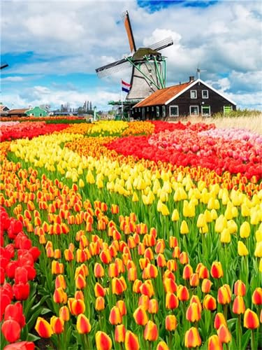 45x60cm Diamond Painting Set Tulpen Windmühlen DIY Mosaikherstellung Diamont Painting Kinder Bastelset Geschenk, Erwachsene Anfänger Diamant Painting Bilder für Home Büro Aesthetic Room Décor J-11617