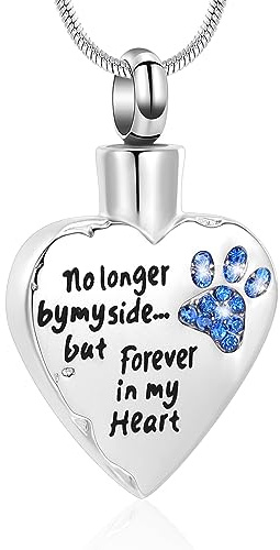 Minicremation Collana con urna per ceneri non più dal mio fianco, ma sempre nel mio cuore, con medaglione intagliato per ceneri di cani e gatti, Acciaio inossidabile Zirconia cubica Pietra, Zirconia