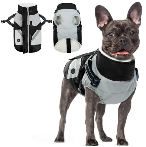 Hundemantel S, Hundemantel mit Geschirr Wasserdichter Hundemantel Welpenjacke Winddichte Hundejacke Regenbekleidung Hundemantel Gefüttert Winterjacke für Kleine Hunde(Schwarz, S)
