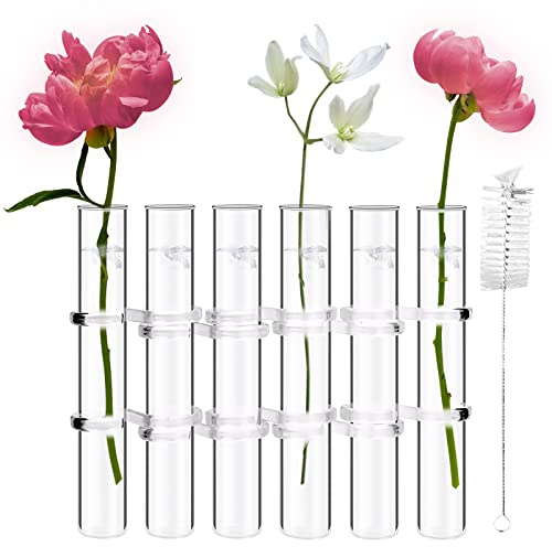 OneNine Hinged Flower Vase, Tube Hinged Vase for Flowers, Test Tubes Flower Vases Plant Vase Decor Set with Brush, Great for Living Room, Office, Library, Conference Room Decoration(Large 6pcs)