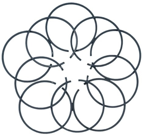 MKVAXR 10 Stück 48 mm x 1,5 mm Kolbenring, for Husqvarna 365 61 162 262 261 262XP 65 265RX 266, for Jonsered 625 2065 2165 Kettensägen-Freischneider Kolbenring-Ring-Satz