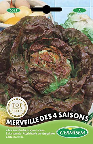 Germisem Merveille Des 4 Saisons Semillas de Lechuga 4 g, EC6021