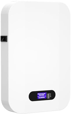 Batteria Lifepo4 da 100Ah 51,2V - 6000 cicli Costruita con BMS da 100A e celle al litio di grado A Accumulo di energia efficiente per impianti solari fotovoltaici e sistemi UPS