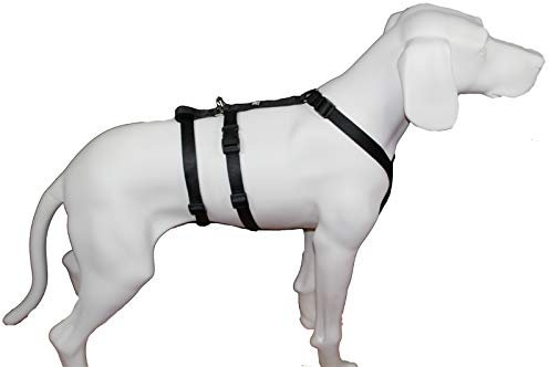 Hoffmann No Exit ausbruchsicheres Hundegeschirr für Angsthund, Sicherheitsgeschirr für Pflegehund, Panikgeschirr, Unifarben Schwarz, Bauchumfang 40-60 cm, 15 mm Bandbreite