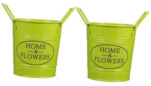 BESPORTBLE 2St Blumentopf Indoor Plants zimmerpflanzen pflanzuntersetzter Flower pots Mini blumentöpfe Garden Decor blumentöpfe grün Flowerpot Eimer Eisen Blumenkübel Pflanzer Blumenbeet Vase