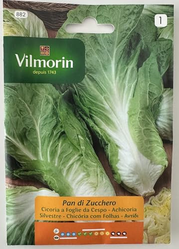 Semi Cicoria a Foglie da Cespo Pan di Zucchero S1-882 12Gr, Confezione da 10 bustine