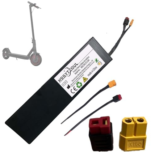 HSSYTZOUL Batterie de Scooter électrique 36V 48VBatterie Lithium-ION 12.5AH XT60 T-Plug Batteries de Remplacement pour vélos électriques et Scooters électriques,36v,12.5AH