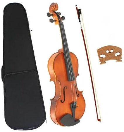 Violinen-Musikinstrument Professional Instruments 4 Saiter 4/4 Violinensatz