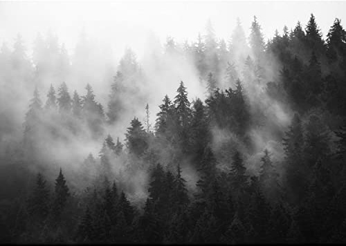 Runa Art Fototapete Wald Nebel Modern Vlies Wohnzimmer Schlafzimmer - Made in Germany - 308 x 220 cm Schwarz Weiss 9552010c
