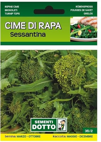 Sicignano | Semi Cime di Rapa Sessantina - Pianta Ciclo Medio-Precoce, Infiorescenze Grosse, Busta Extra - 1 Confezione da 20g, Raccolta Estiva-Autunnale