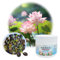 100pcs Semillas Flor de Loto, dellyy Semillas de Loto de Agua, Lotus de Colores, con Fertilizante Plantas, para Cultivo En Estanques de Jardín Interior Exterior