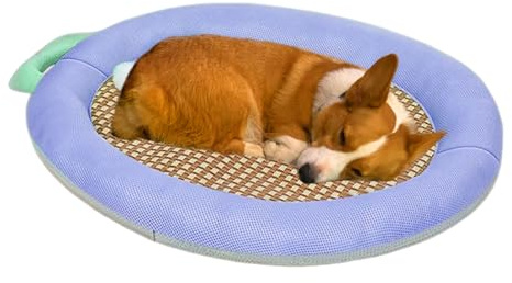 Walopola Kühlende Hundematte, kühles Schlafbett, kaufest, kühlend, unzerstörbar, für Welpen, Hunde, Hundehütte, Katzen, Entspannung im Innenbereich