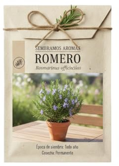 Huerto Urbano con Romero Aromático – Semillas Naturales DECOALIVE para Cultivo en Interior y Exterior