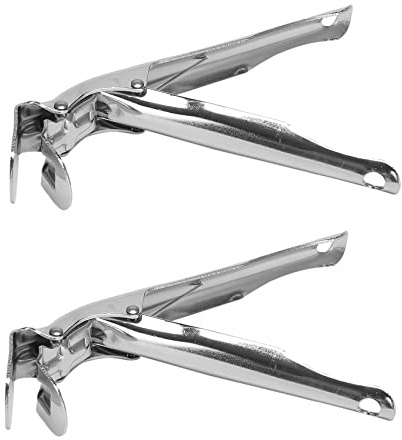 KLKNE Lot de 2 pinces pour grille de barbecue Primo Grill Dome Charbon Grill Smoker Grill