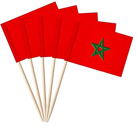 stidsds 100pcs Drapeau National Cure-Dent C (Maroc)