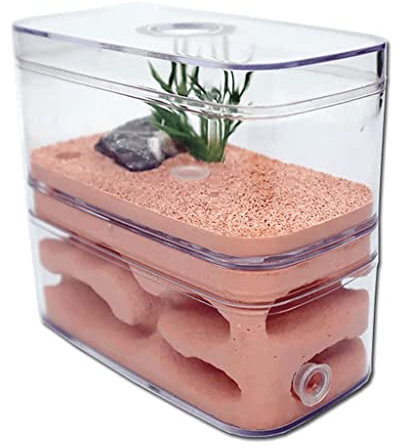 DIY Kreatives Ameisenfarm-Set, Ameisenfarm-Schloss, Ameisenhaus, Gips-Insektenbox, Ameisenfarm, natürliches ökologisches Insekt, Ameisennestfarm, ökologische Werkstatt, großes Ameisenfarm-Lernset (Co