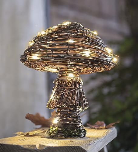 Dekoleidenschaft LED Dekofigur Pilz Rustic aus Weide, integrierte Lichterkette mit 30 warm-weiß LEDs, 23 cm hoch, Herbstdeko, Leuchtdeko