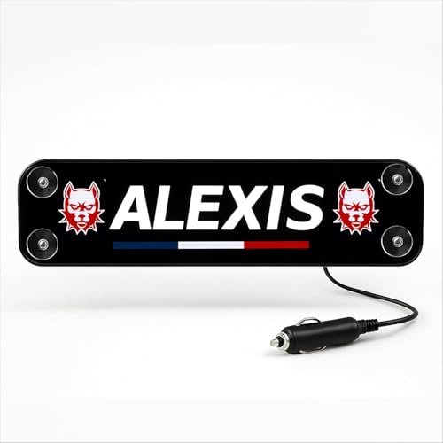 Stick Olivier - Piastra luminosa cabina camion - nome, messaggio, logo personalizzato - Illuminazione potente LED 5, 12, 24 V - Insegna al neon personalizzabile decorazione interna - Fabbricazione