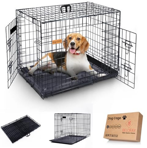 BELOFAY Heavy-Duty Folding Dog Crate | 24-Inch Metal Frame Dog Cage with Dual Access Doors, Chew-Resistant Removable Base Tray, Sliding Lock & Carry Handle – Ideal for Puppy Training & Travel