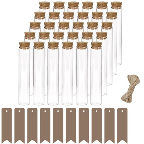 AZIDWJN Clear Plastic Test Tubes 30 Pcs, with Corks 12mm×75mm Reusable Transparent Plastic Sample Test Tubes Vases with 30 Kraft Paper Labels Hemp Rope for Plants Flowers Beads Sweets Candy