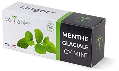 Véritable Lingot® Menta Fresca Bio - Compatible con Huerto di Interior Exky® - Recarga Lista para Usar - Sustrato con Semillas integradas