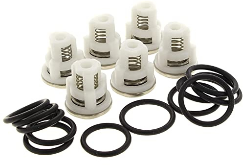 Suroil Kit 6 clapets + Joints pour Nettoyeur Haute Pression