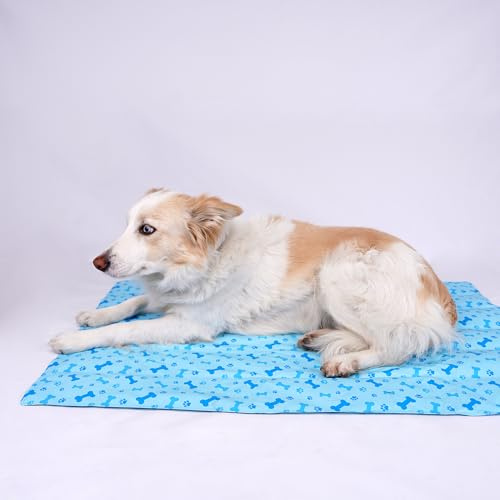 SMELL & SMILE Tapis rafraîchissant pour chien Tapis de refroidissement pour animaux de compagnie 30 x 40 cm - Bleu 30 x 40 cm