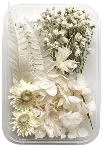 XYTAHDM Fiori secchi decorativi, Fiori secchi Artigianato per fai da te Arti Resina Scrapbooking Creazione di gioielli Decorazioni floreali (Bianco)