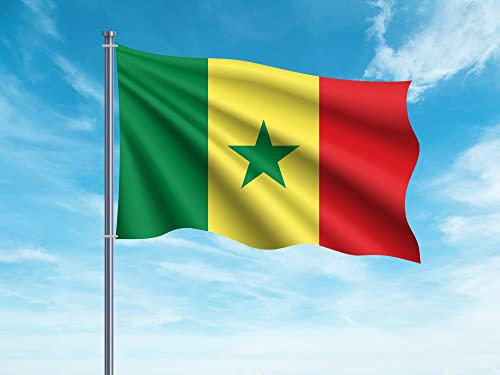 Oedim Drapeau du Sénégal 85 x 1,50 cm | Renforcé et avec surpiqûres | Drapeau avec 2 œillets métalliques et résistant à l'eau