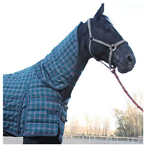 MaJu Pferdedecken Wasserdichter Und Atmungsaktiver Winter Gepolsterter Baumwollpferd Mit Combo-Ausschnitt(Size:155cm)