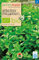 Samen Maier 865 Liebstock (Maggikraut) mehrjährig (Bio-Liebstöckelsamen)